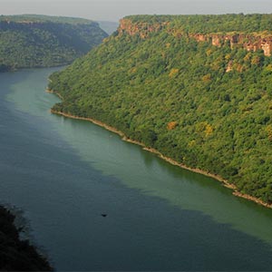 Chambal River