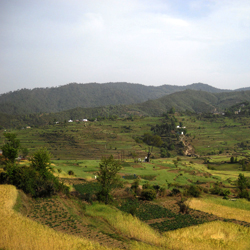 Champawat Hills in Kumaon