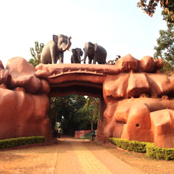 Chandaka Elephant Reserve in Bhubaneswar
