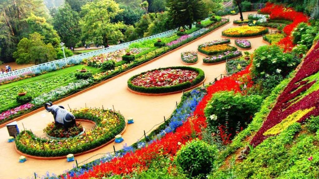 Chandigarh Rose Garden in Chandigarh