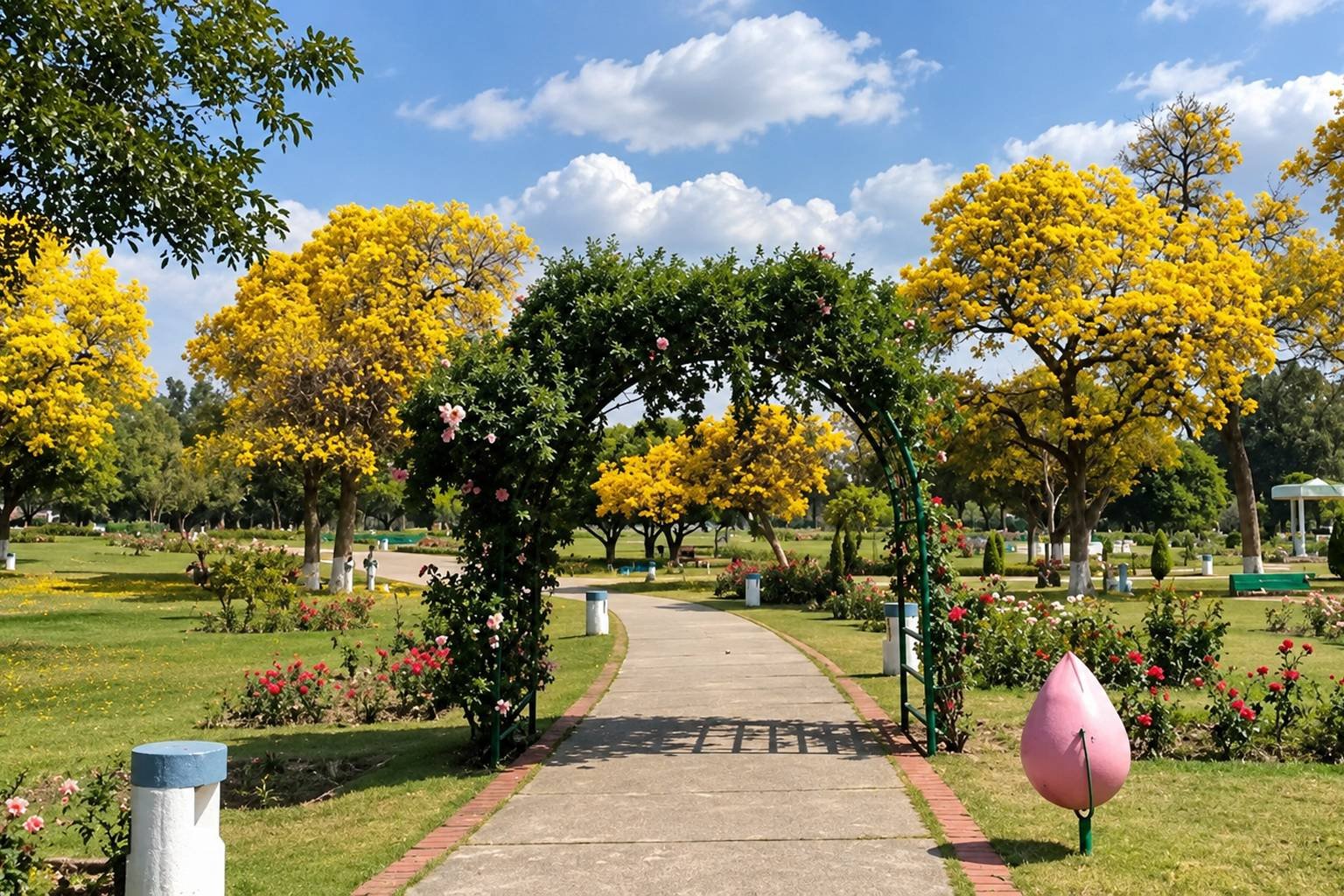 Chandigarh Rose Garden