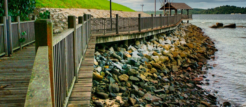 Changi Boardwalk