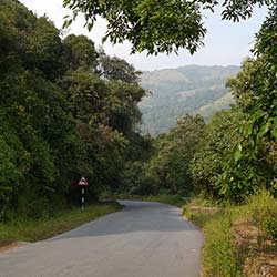 Charmadi Ghat in Chikmagalur