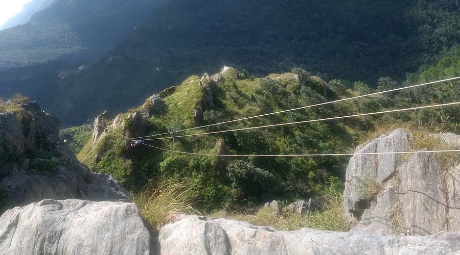 Chauli Ki Jali in Mukteshwar