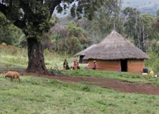 Chepkitale nature Reserve in Kitale