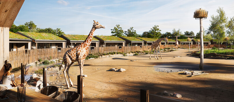 Chester Zoo