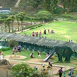 Chettiar Park in Kodaikanal