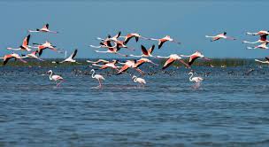 Chilika Lake in Ganjam