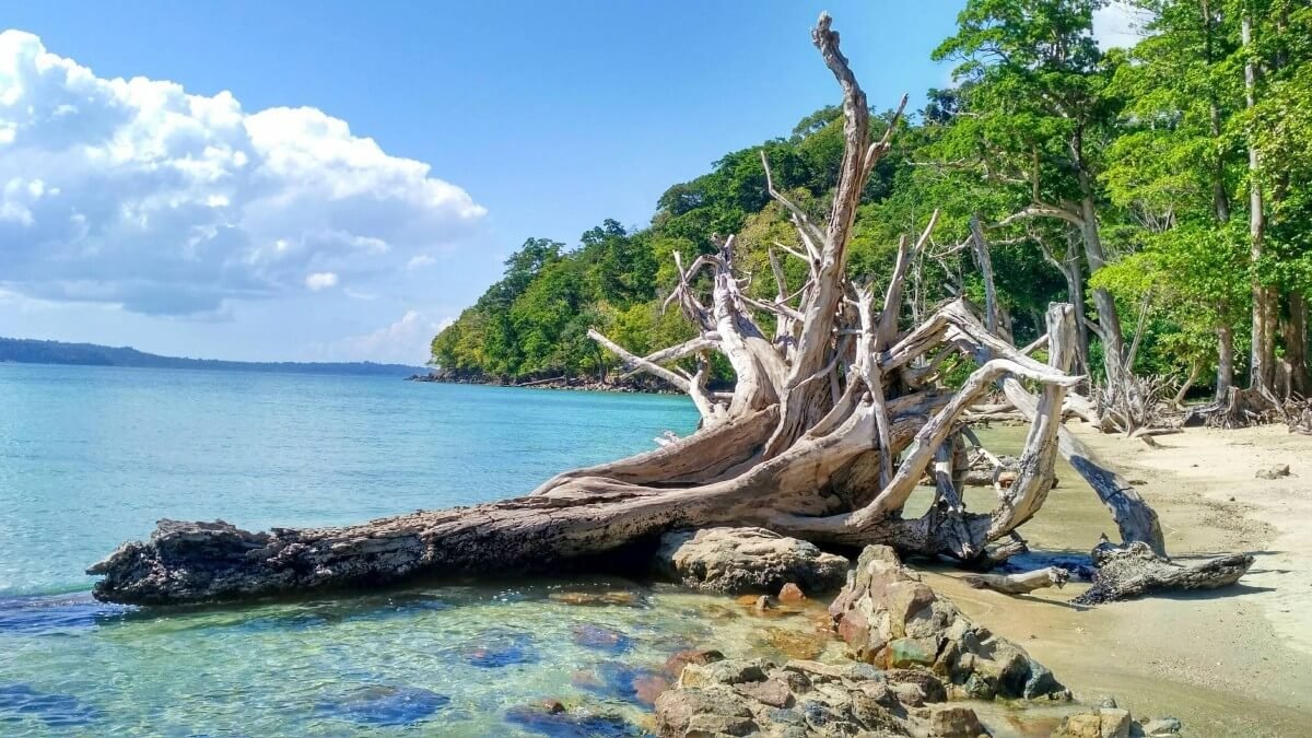 Chidiya Tapu in Andaman