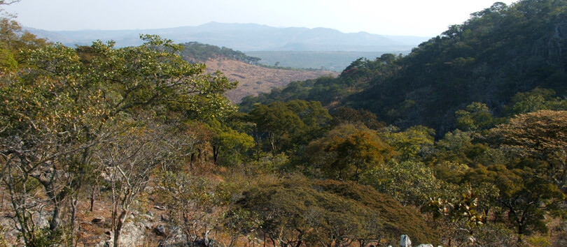 Chitambo Hills