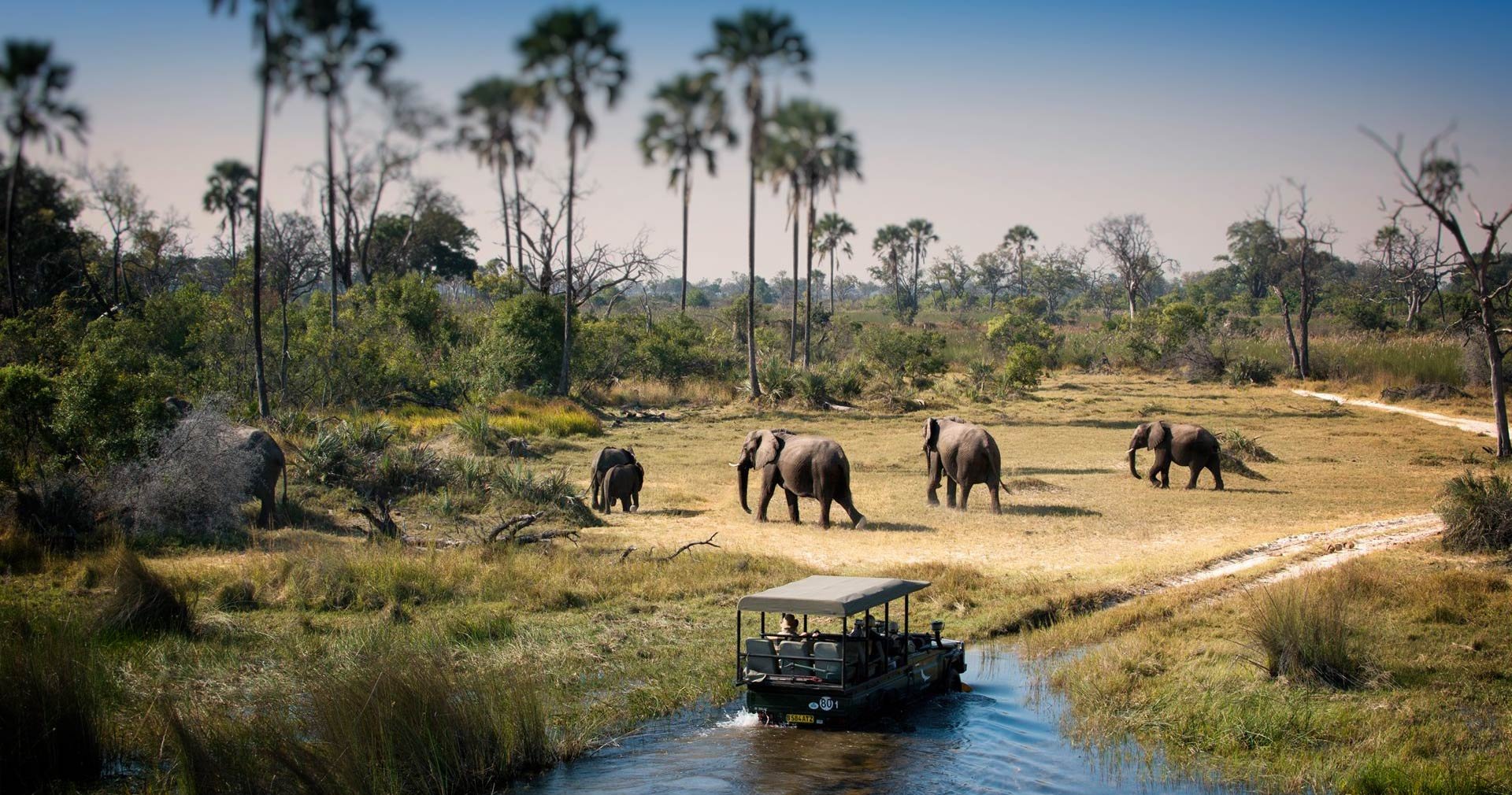 Chobe National Park in Chobe