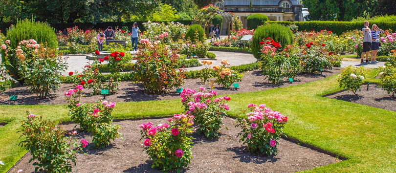 Christchurch Botanic Gardens