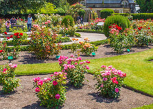 Christchurch Botanic Gardens in Christchurch