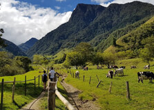 Cocora Valley in Pereira