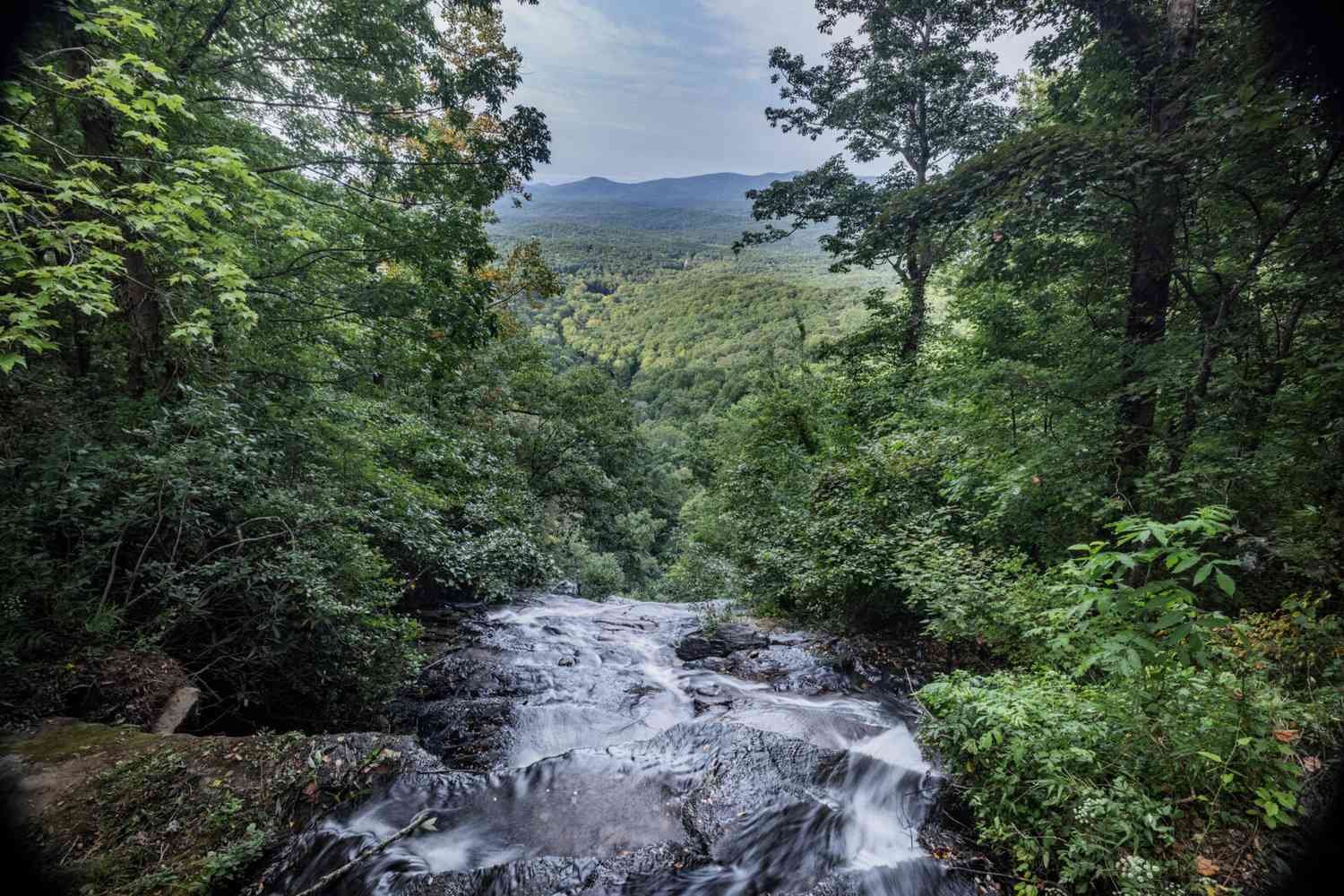 Collins Mountain(Dahlonega) in Georgia