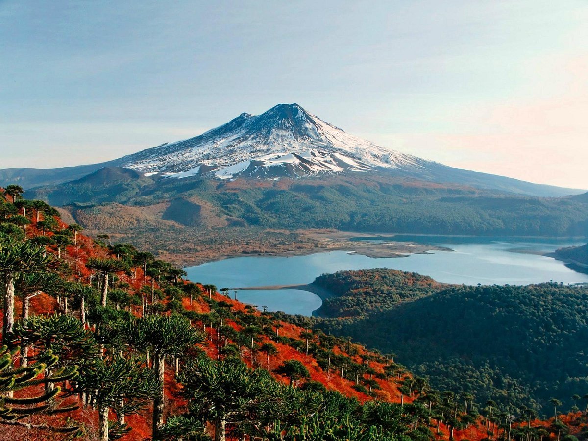 Conguillio National Park in Araucania