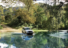 Conondale National Park in Brisbane