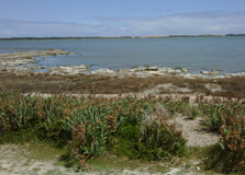 Coorong National Park in Adelaide