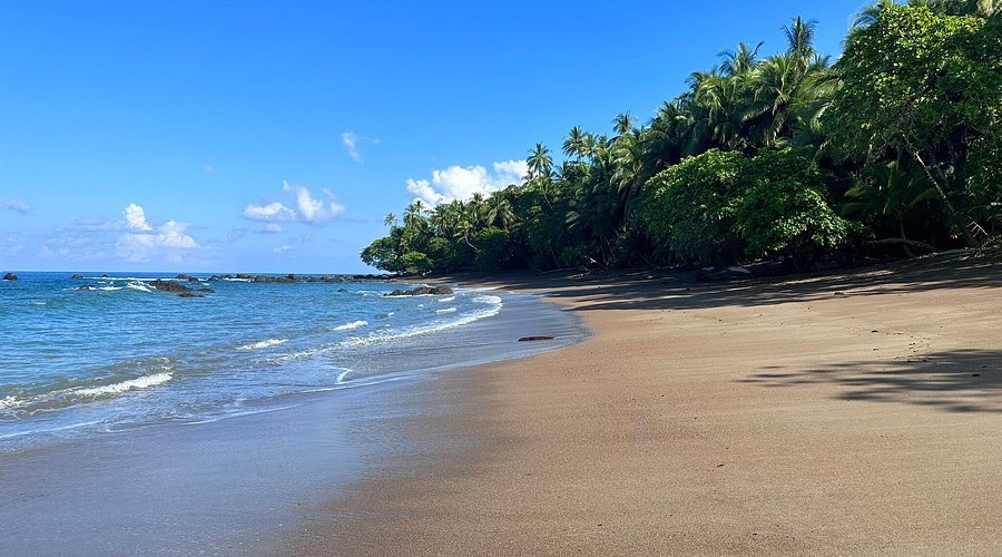 Corcovado National Park in Osa Peninsula