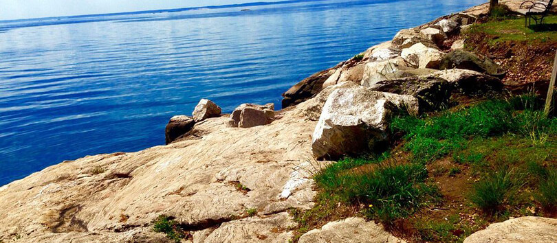 Cove Island Park