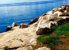 Cove Island Park in Stamford