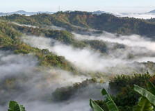 Crocker Range National Park in Sabah