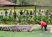 Crocodile Adventureland Langkawi in Kedah