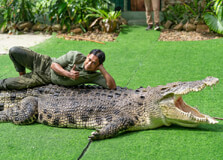 Crocodile Adventureland Langkawi in Langkawi