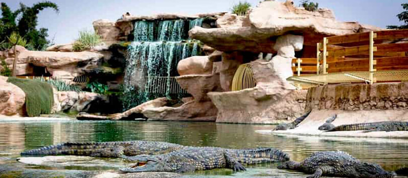 Crocoparc