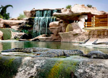 Crocoparc in Agadir