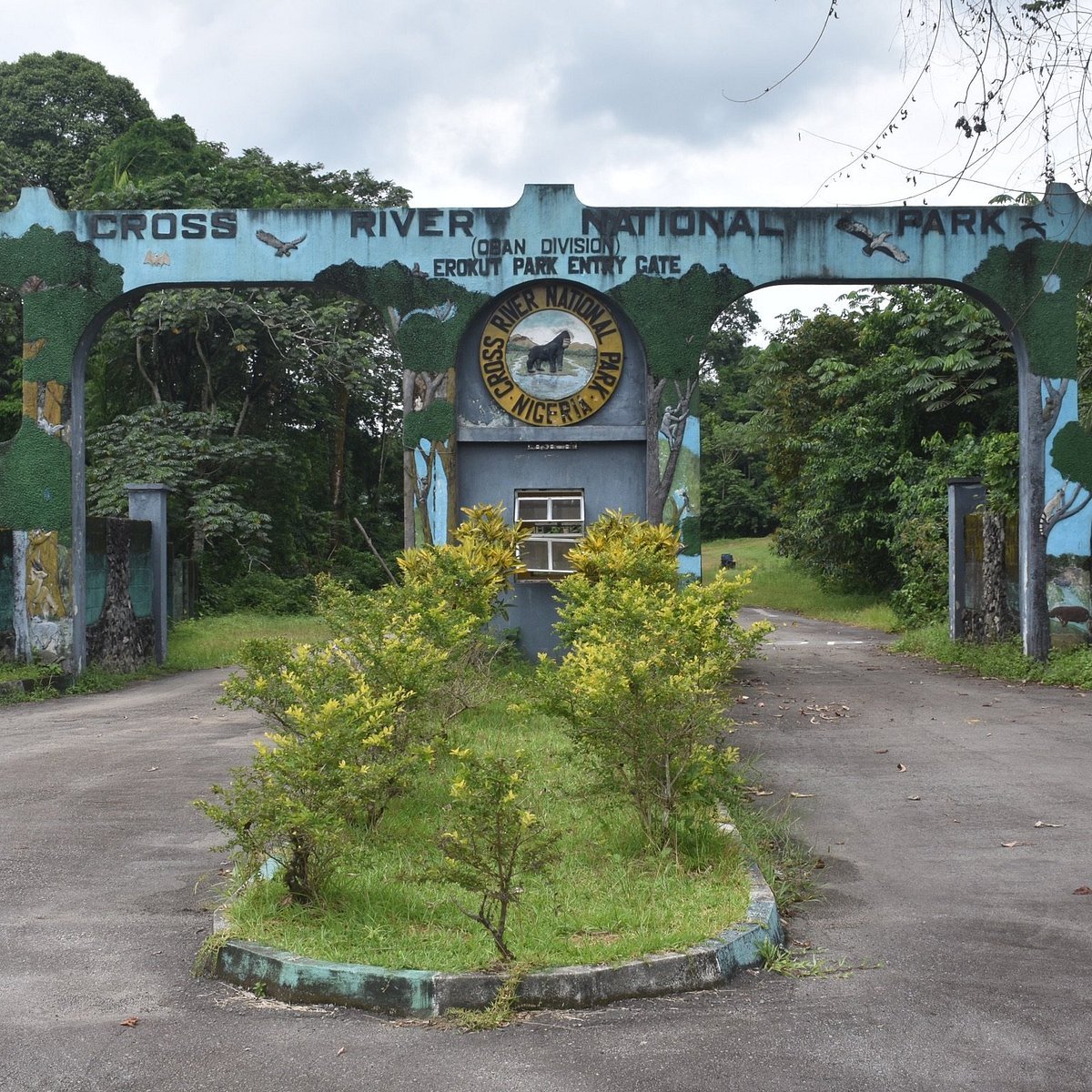 Cross River National Park in Cross River