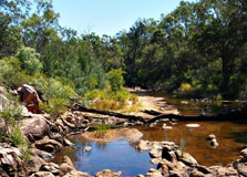 Crows Nest National Park in Brisbane