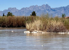 Cruces River in Poza Rica