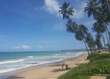 Cruz Das Almas Beach in Bahia