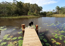 Cunnawarra National Park
