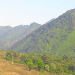Dachigam National Park in Kashmir