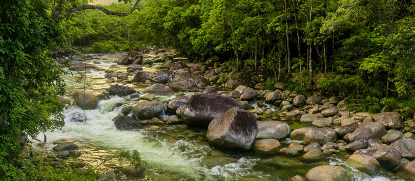 Daintree National Park