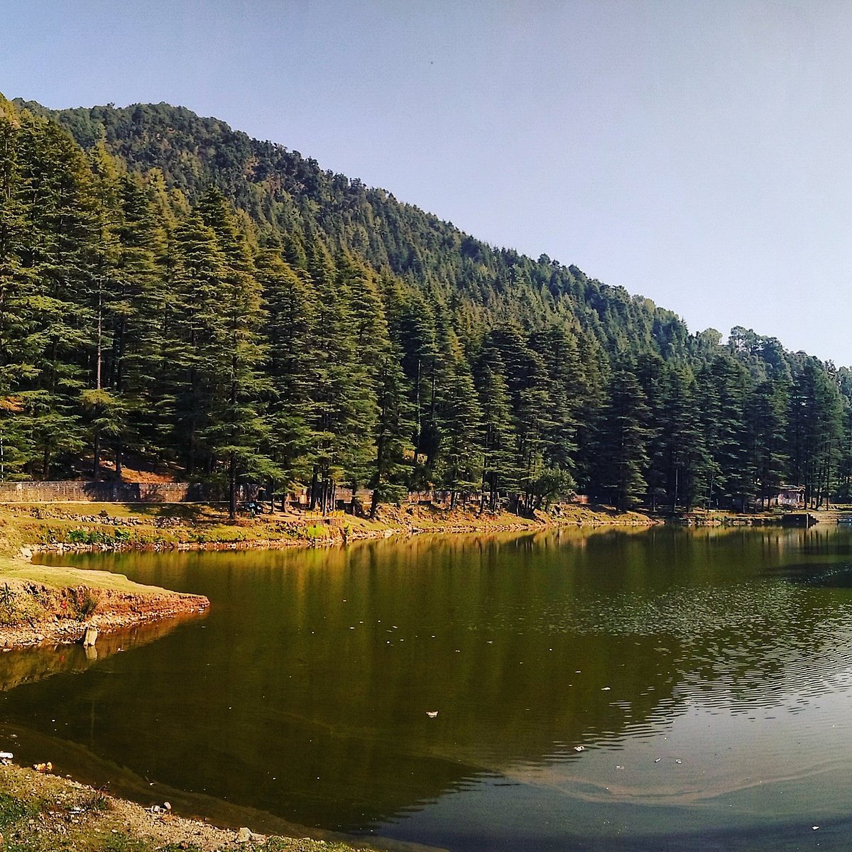 Dal Lake in Mcleodganj