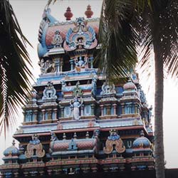Darbhasayanam in Ramanathapuram