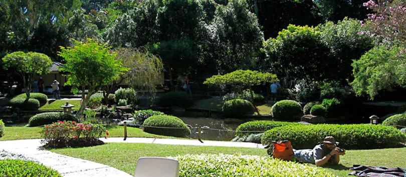 Dar es Salaam Botanical Garden