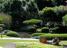 Dar es Salaam Botanical Garden in Dar-es-Salaam