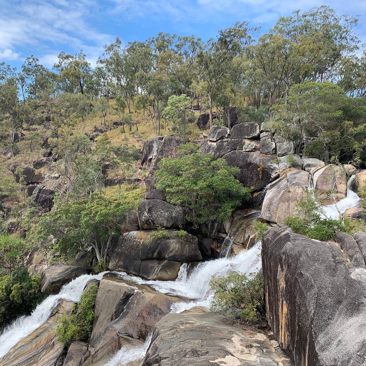 Davies Creek National Park in Cairns