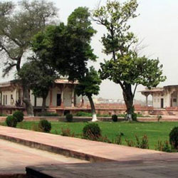 Dayalbagh Gardens in Agra