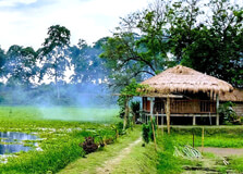 Dehing Namti Satra in Dibrugarh