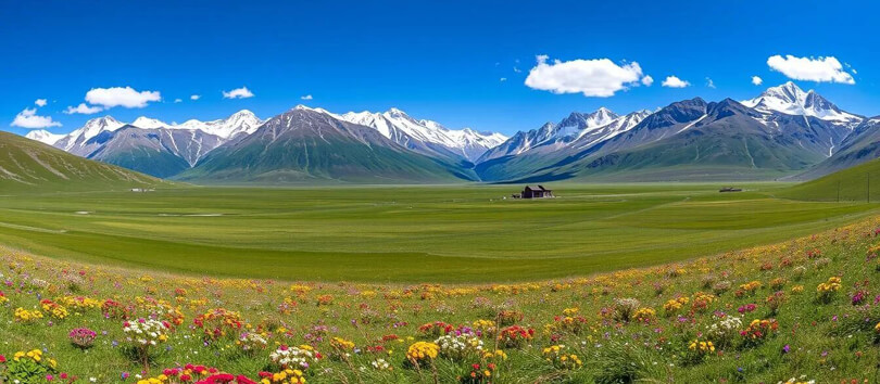 Deosai National Park