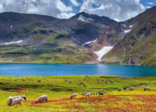 Deosai National Park in Skardu