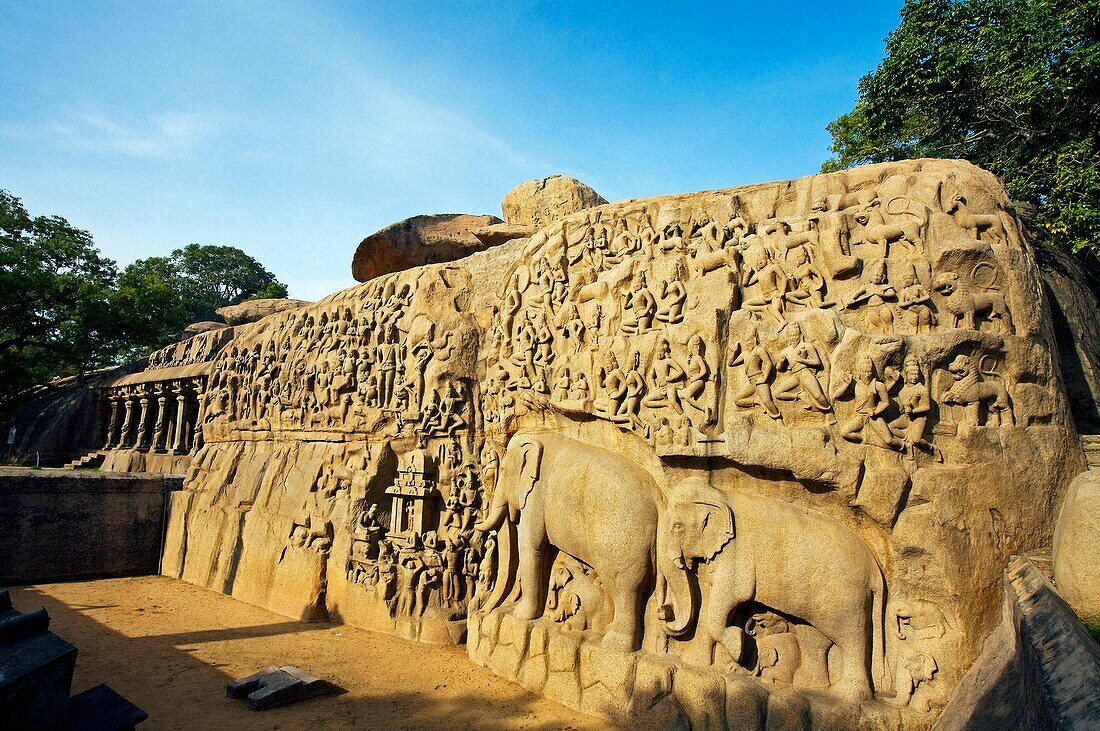 Descent of the Ganges in Mahabalipuram