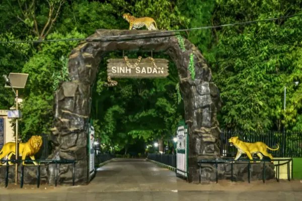 Devalia Safari Park in Gir Somnath