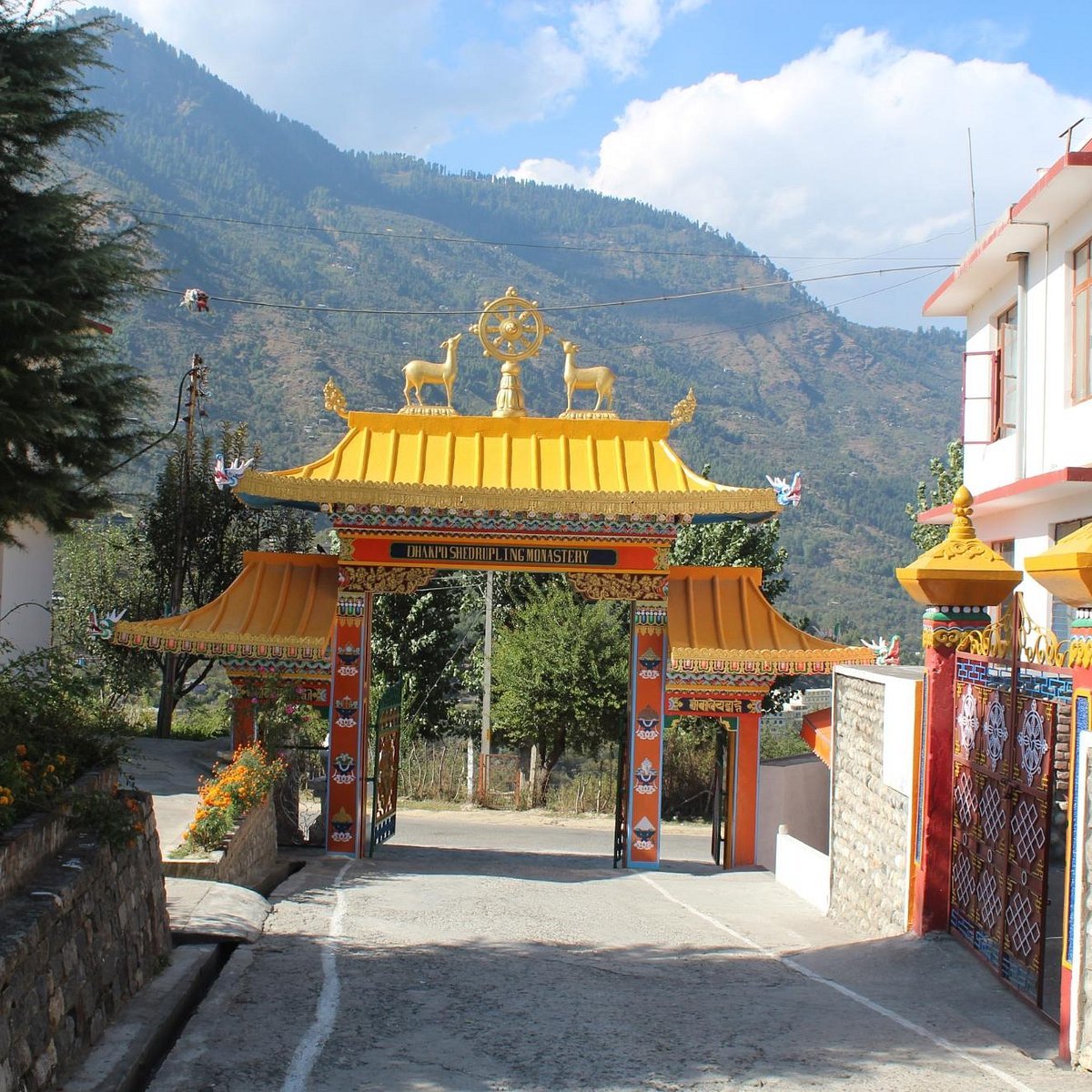 Dhakpo Shedupling Monastery in Mainpat