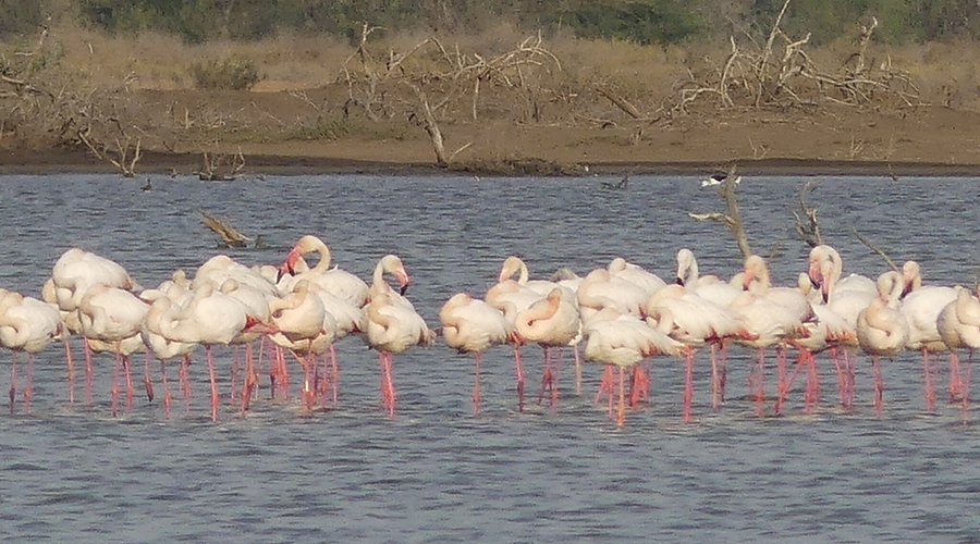 Best Places to Visit in Senegal